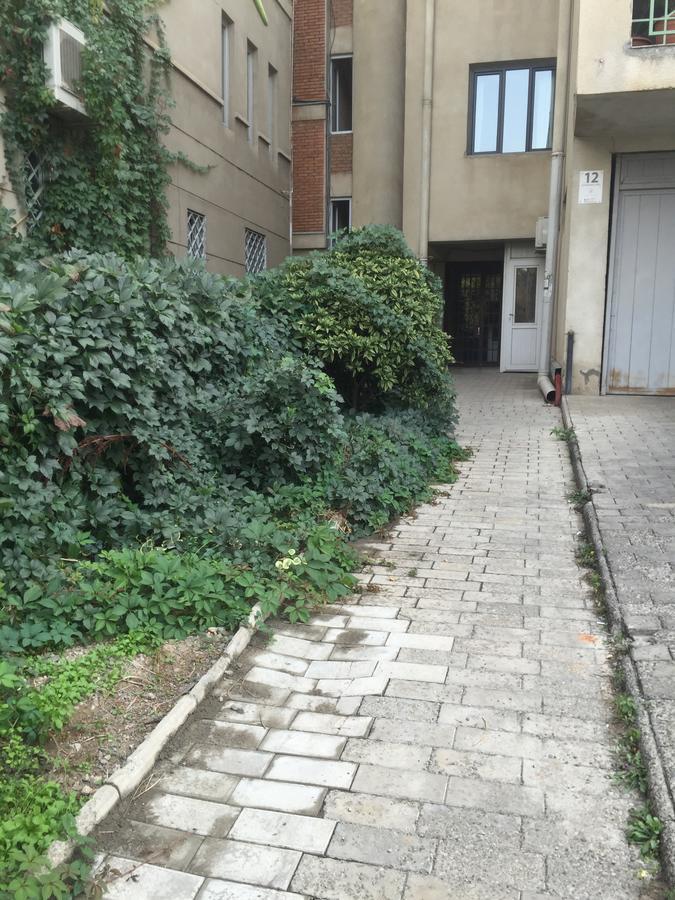 Aleqsandra 第比利斯 外观 照片